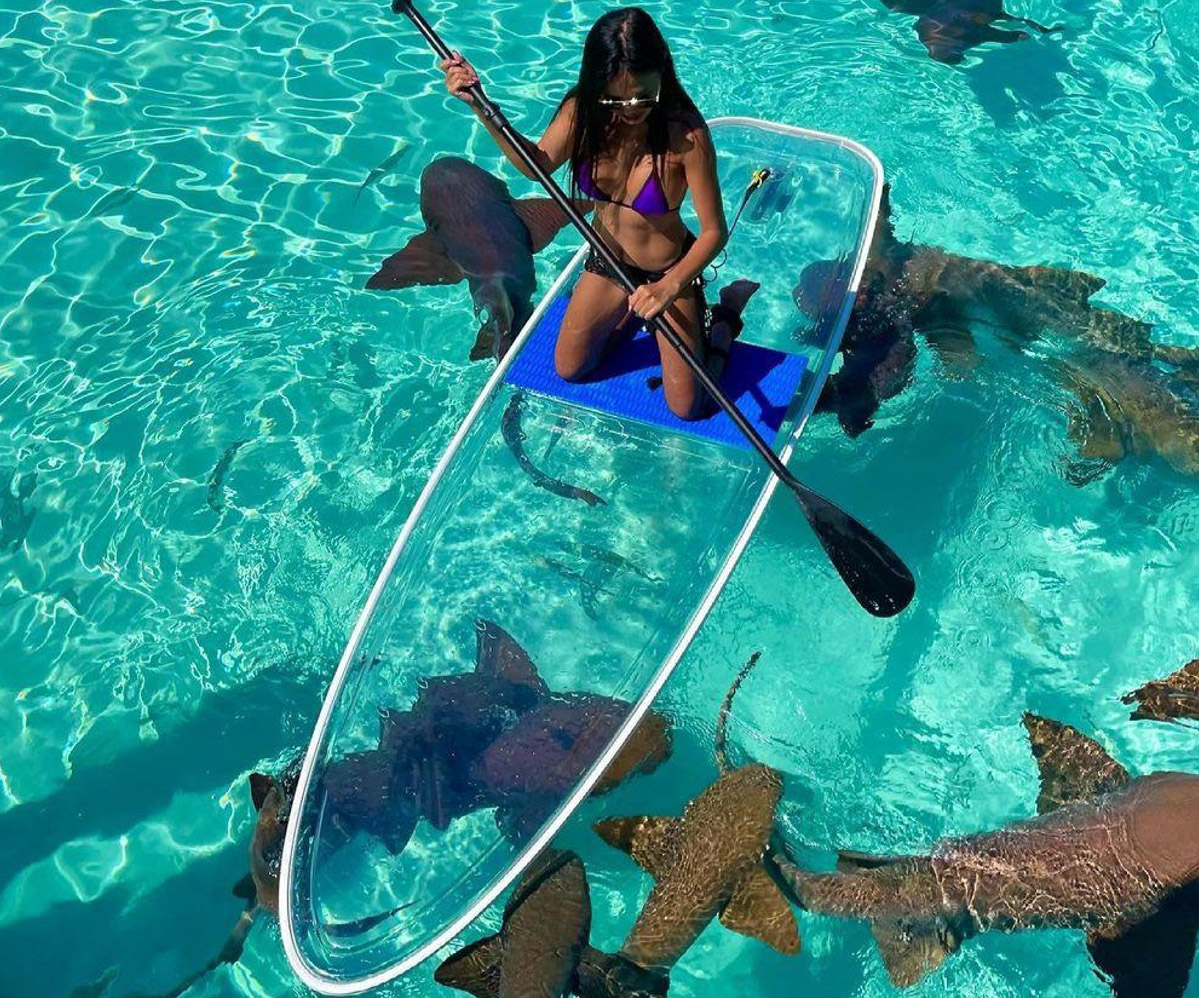 Crystal Clear Polycarbonate Paddele SUP Board (8)