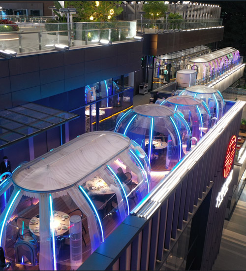 Luxury Under the Stars The Ultimate Luxury Dining Polycarbonate Dome Experience (10)