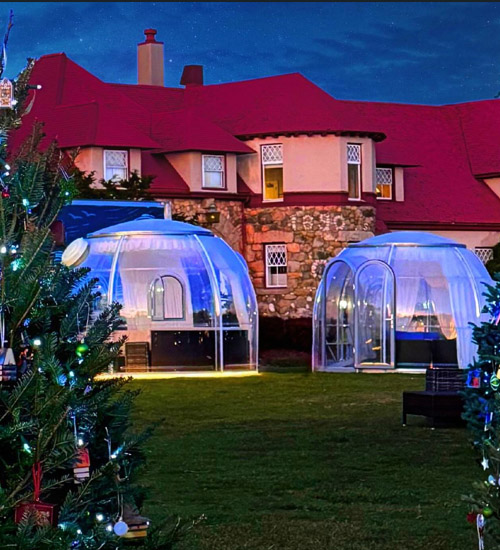 Luxury Under the Stars The Ultimate Luxury Dining Polycarbonate Dome Experience (8)