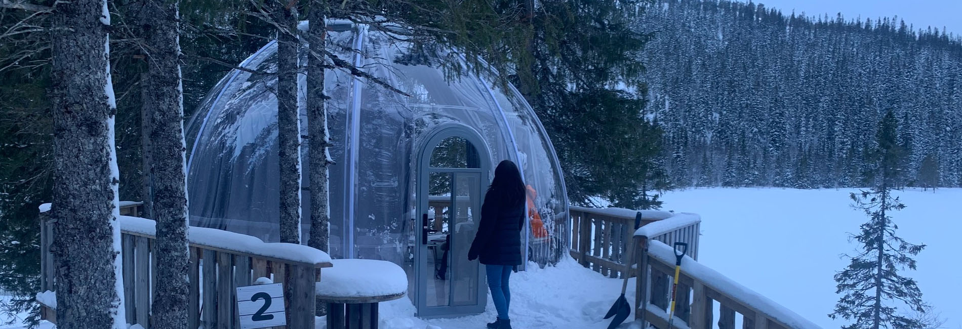 Covestro Glamping Clear Dome: Redefining Winter Hospitality in Denmark's Deep Forests