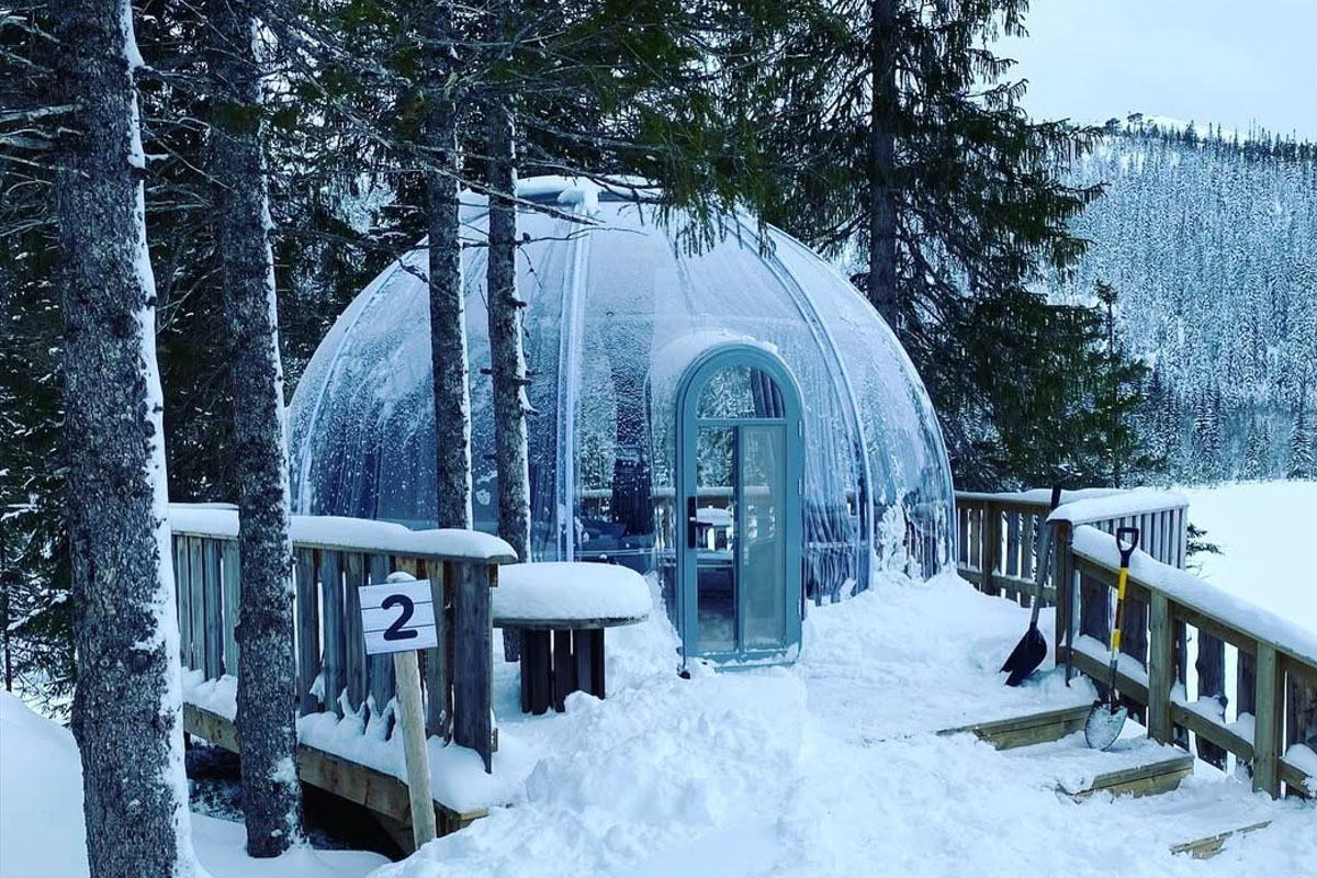 Covestro Glamping Clear Dome: Redefining Winter Hospitality in Denmark's Deep Forests