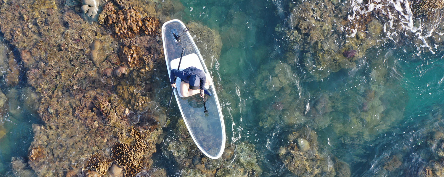 The Crystal Clear Polycarbonate Paddle SUP Board (1)