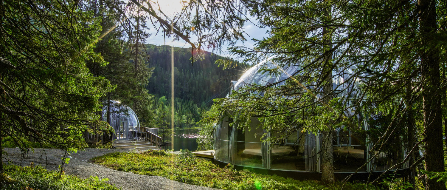 The World's Largest and Most Innovative Polycarbonate Dome Structure! (6)