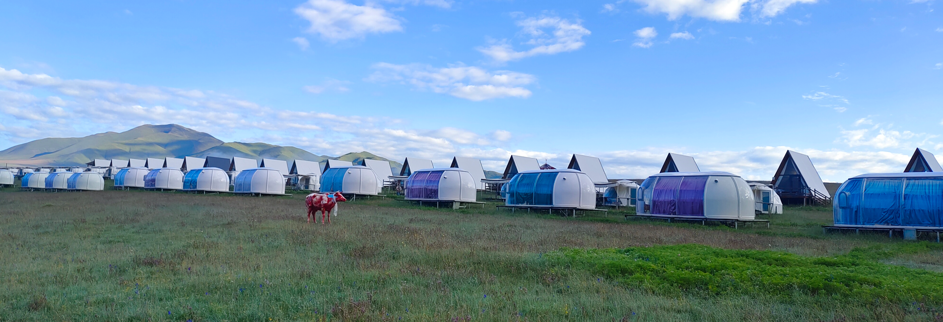 Capsule Accommodation Star Camping Pod Project in Sangke Grassland Where Comfort Meets the Vast Horizon