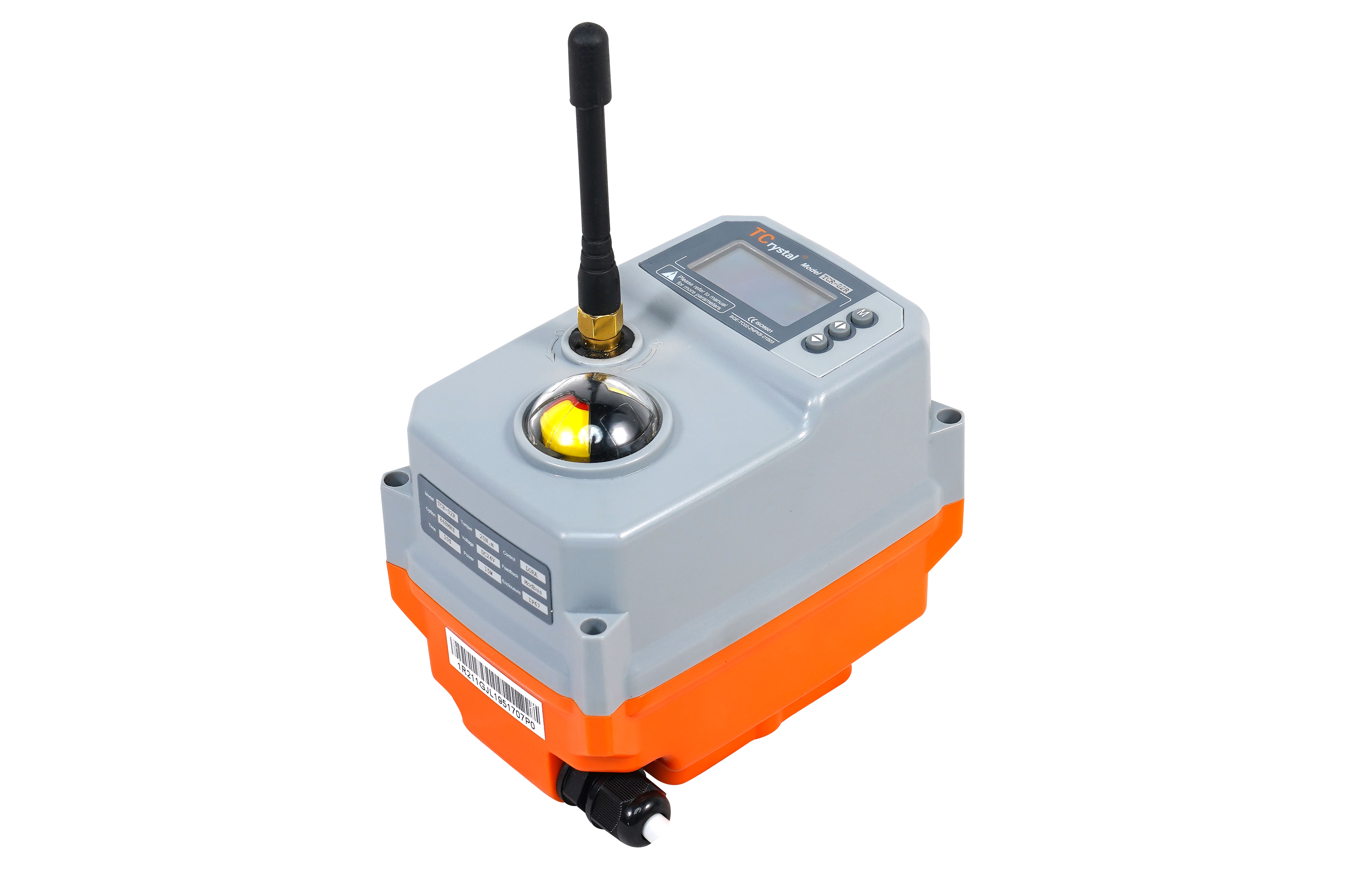Design of an IoT-Based Remote Monitoring and Management System for Electric Actuators