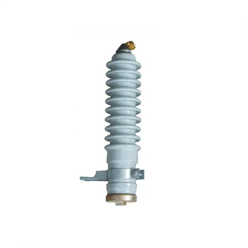 Y5(10)W-9J Surge Arrester.jpg
