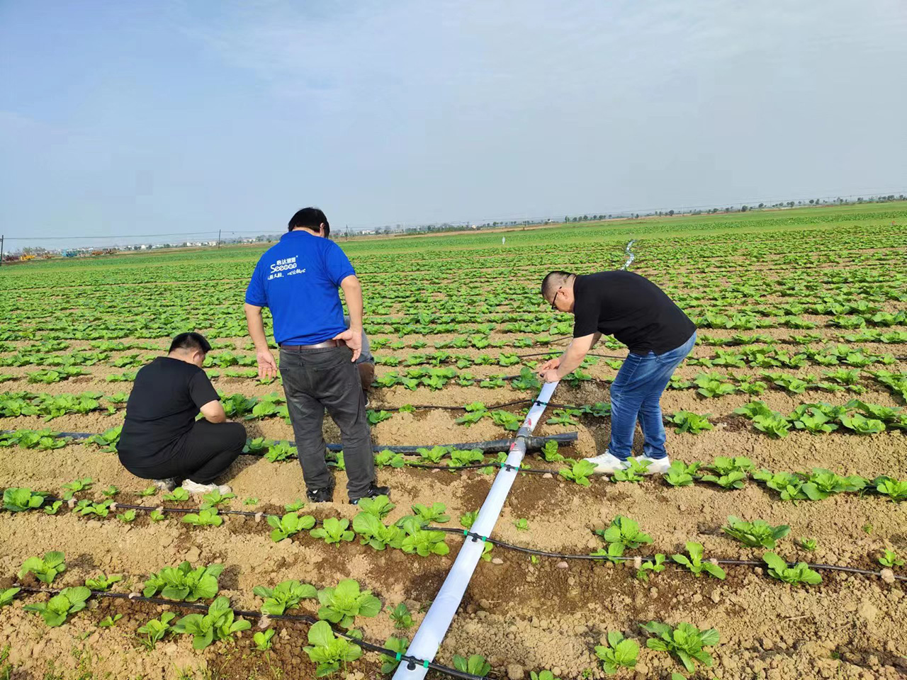 PE Irrigation Lay Flat Hoses and Drip...