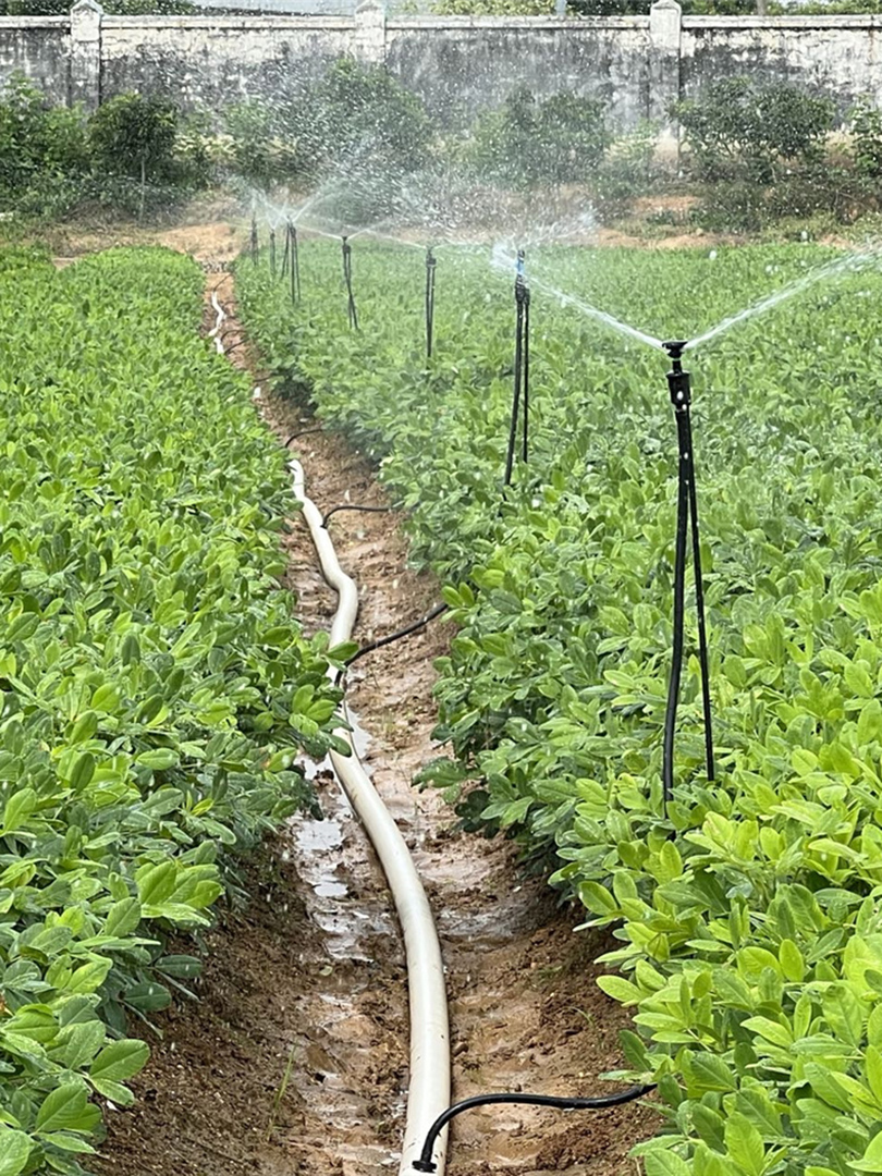 Sprinklerprojekt (2)