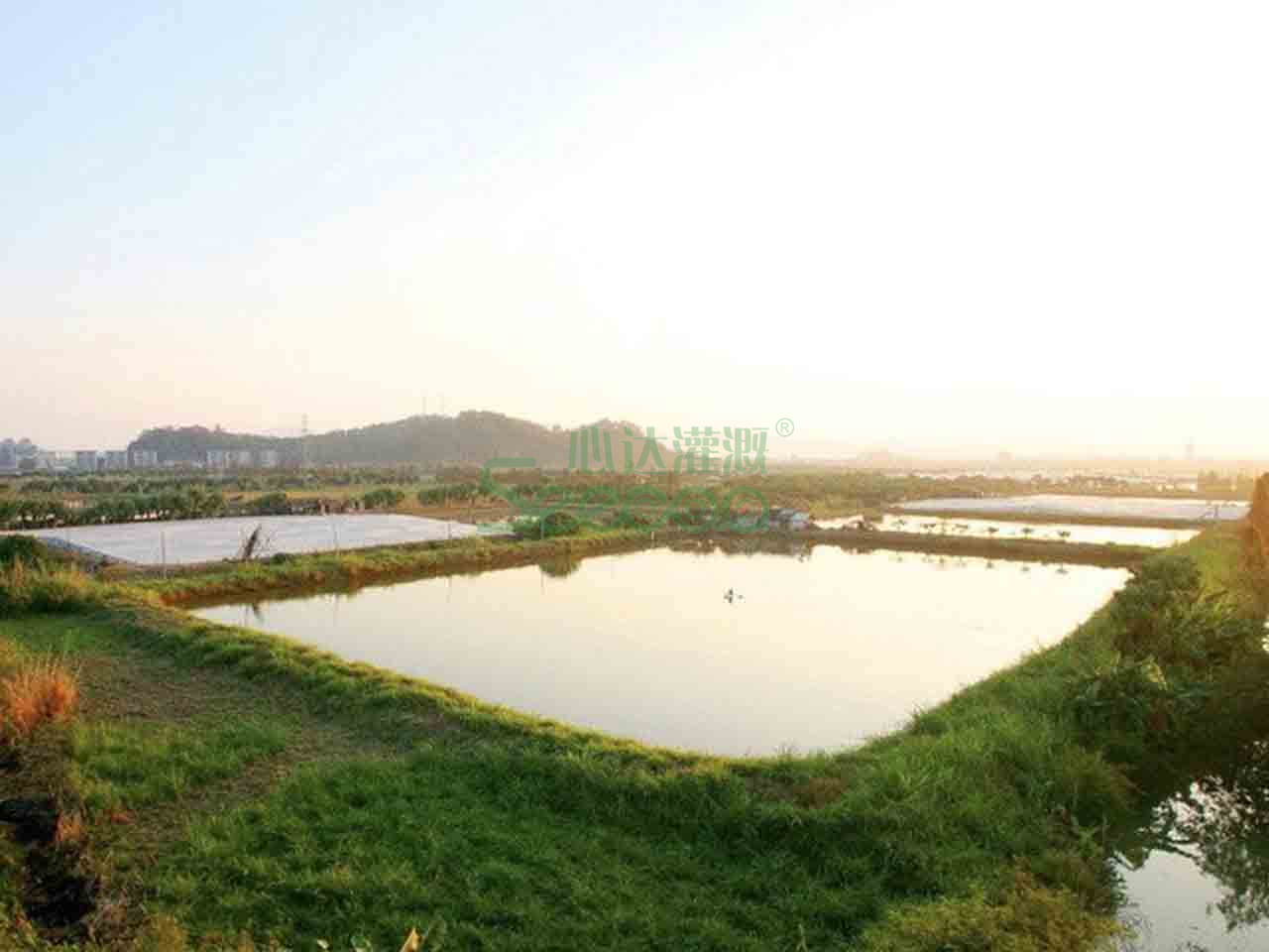 水产养殖