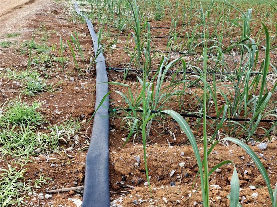 Con resistencia a los rayos UV para una excelente resistencia a la intemperie.