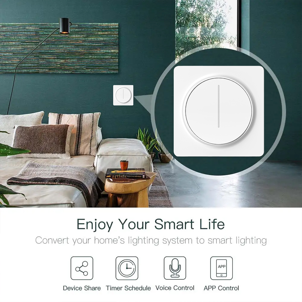 dimmer smart switch (1)