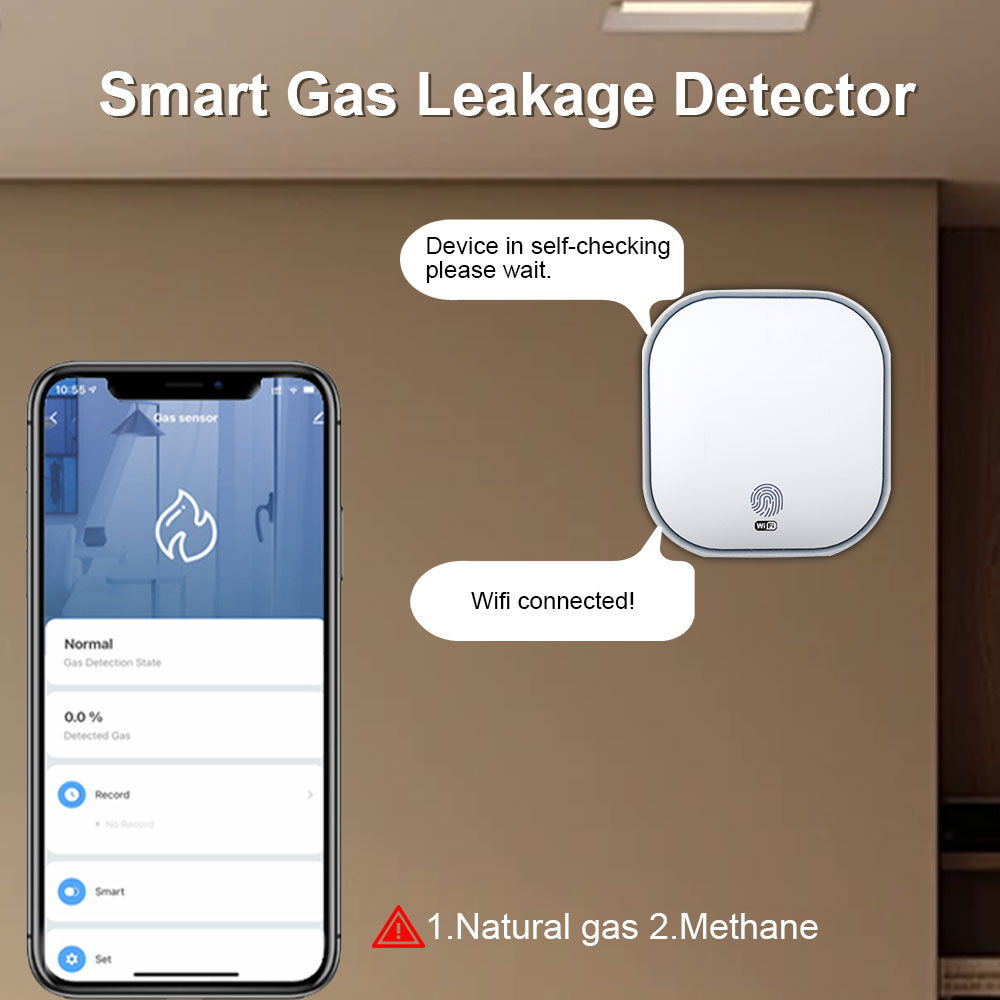 gas detector smart sensor (1)