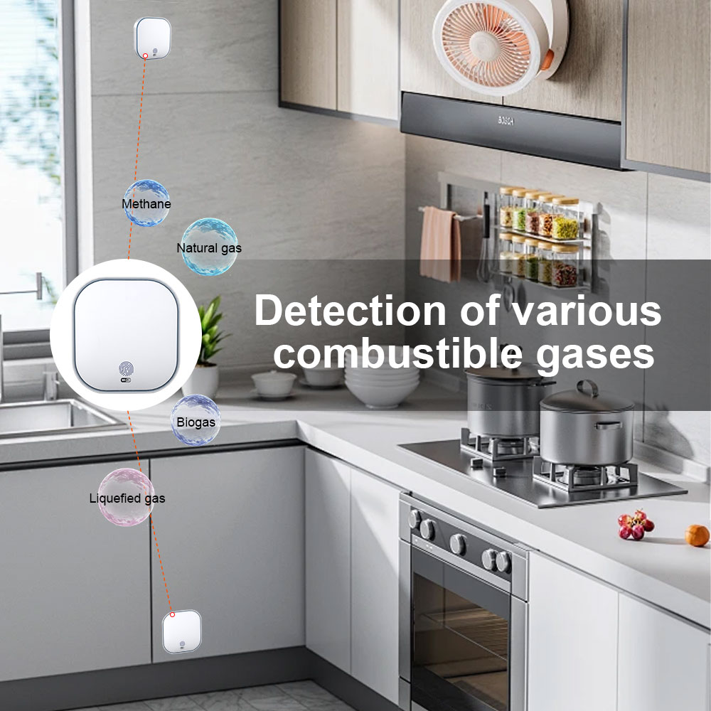 gas detector smart sensor (4)