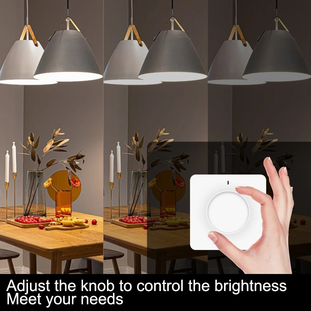 smart dimmer switch alexa (2)