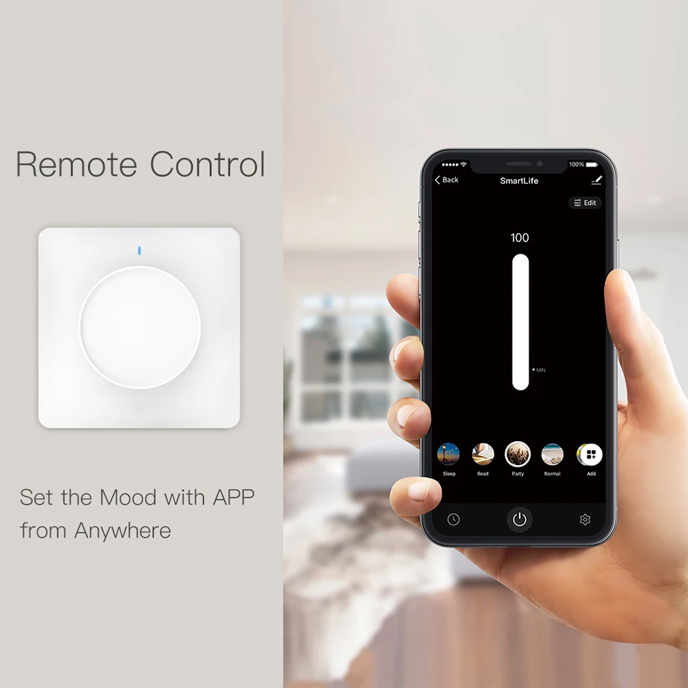 smart dimmer switch alexa (3)