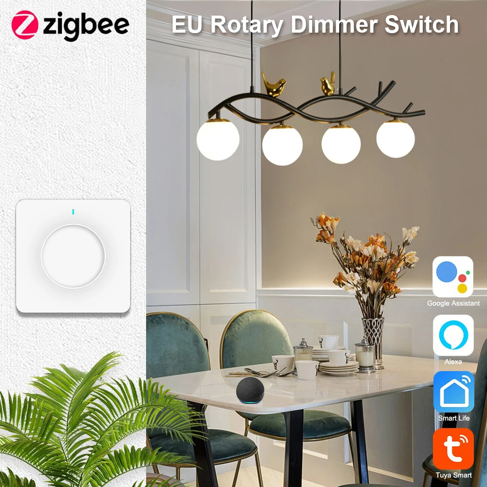 Smart Dimmer Switch alexa