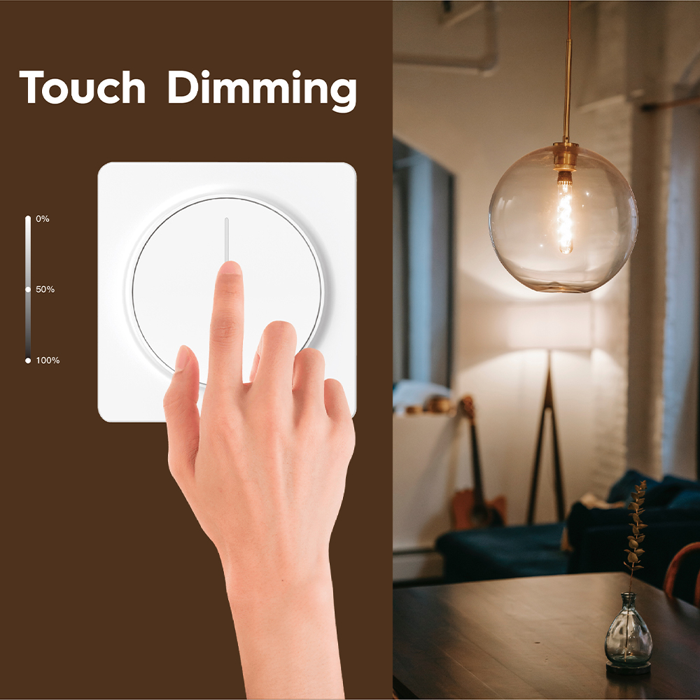 smart dimmer switches (2)