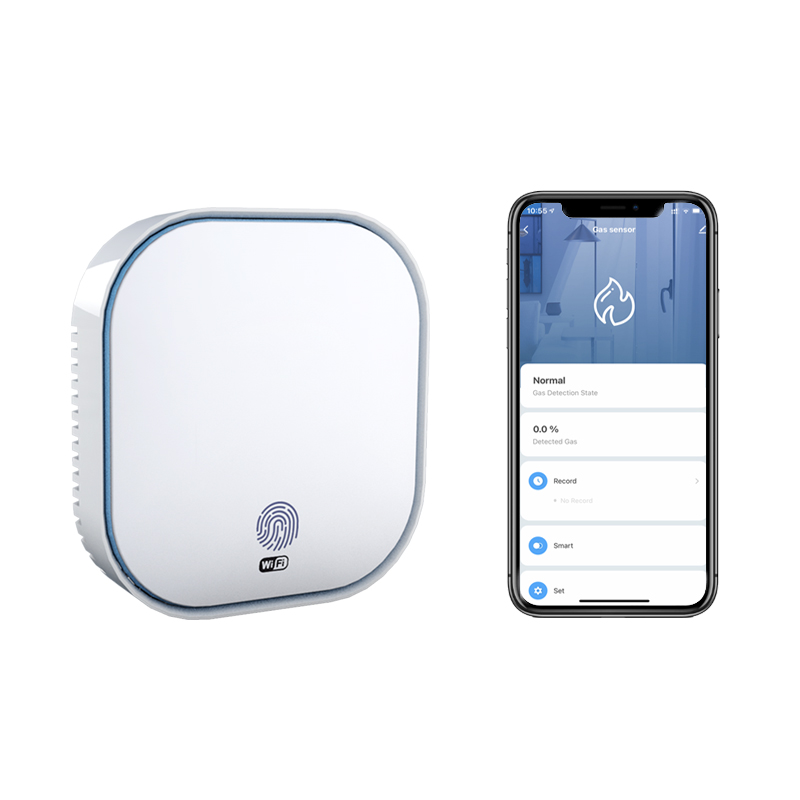 smart sensor gas detector (3).jpg