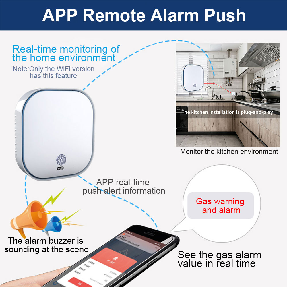 smart sensor gas detector (4)