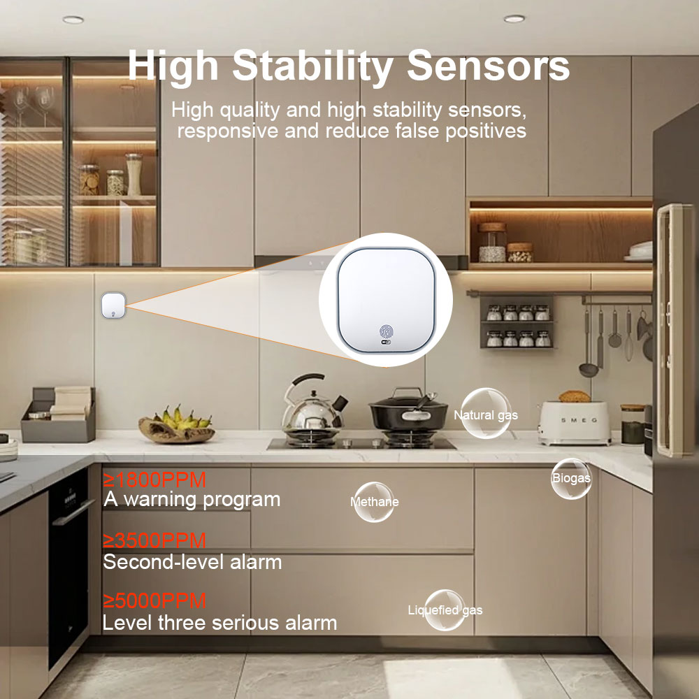smart sensor gas detector (5)