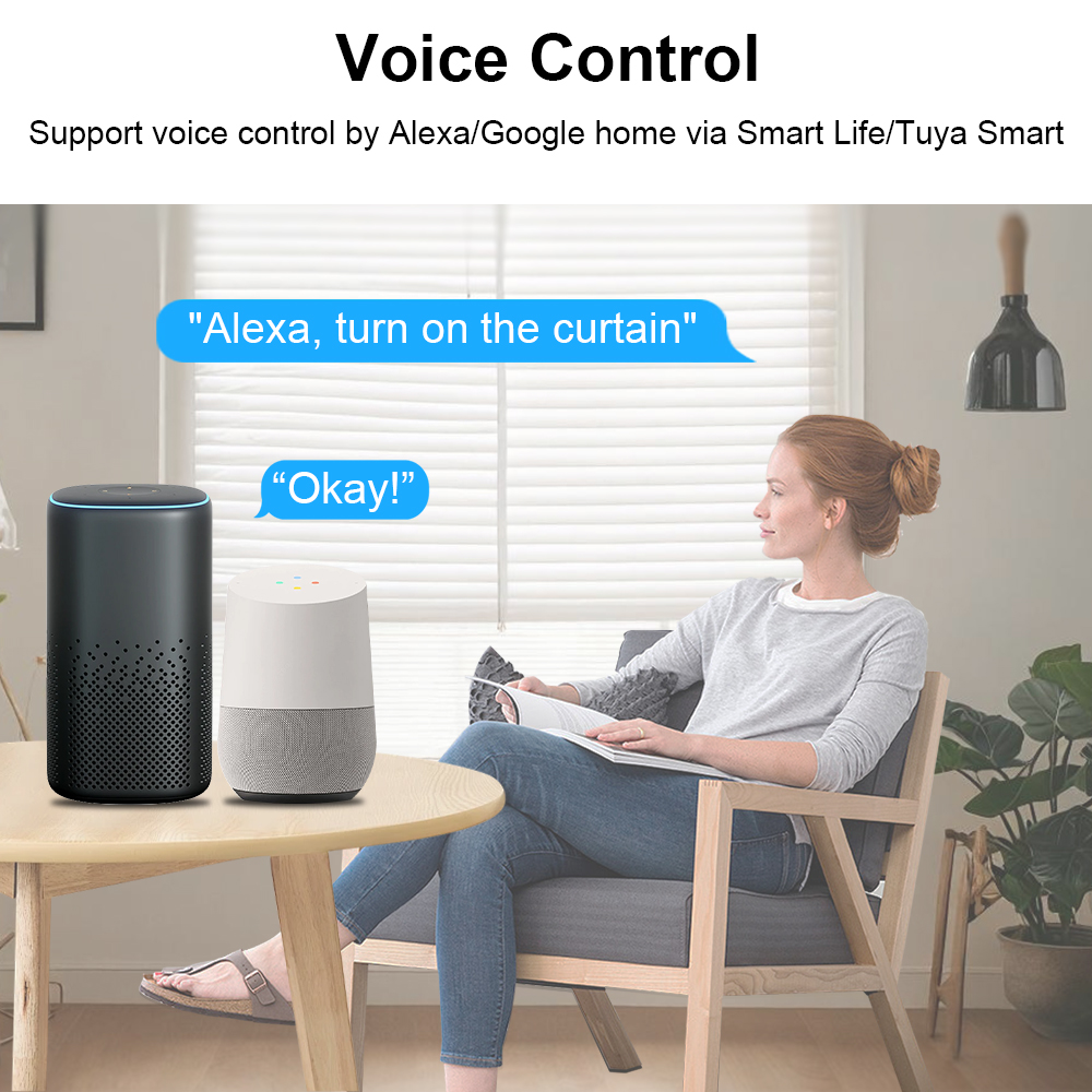 WIFI Smart Blinds Motor