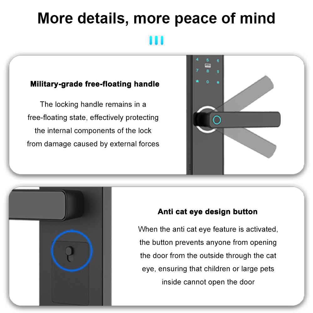 smart door lock with handle (1)