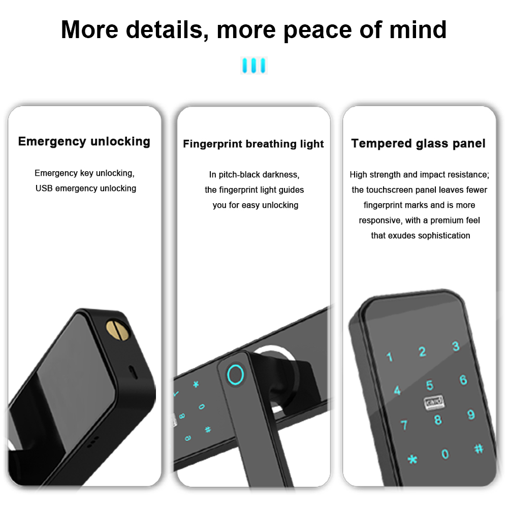 smart door lock with handle (2)