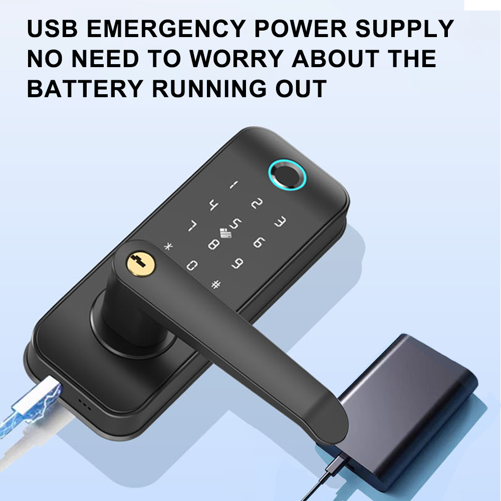 smart door lock with key