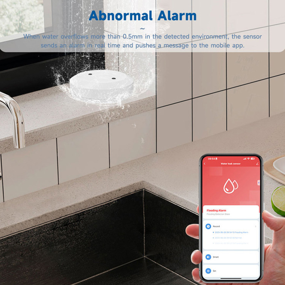smart home water leak detection system (1)
