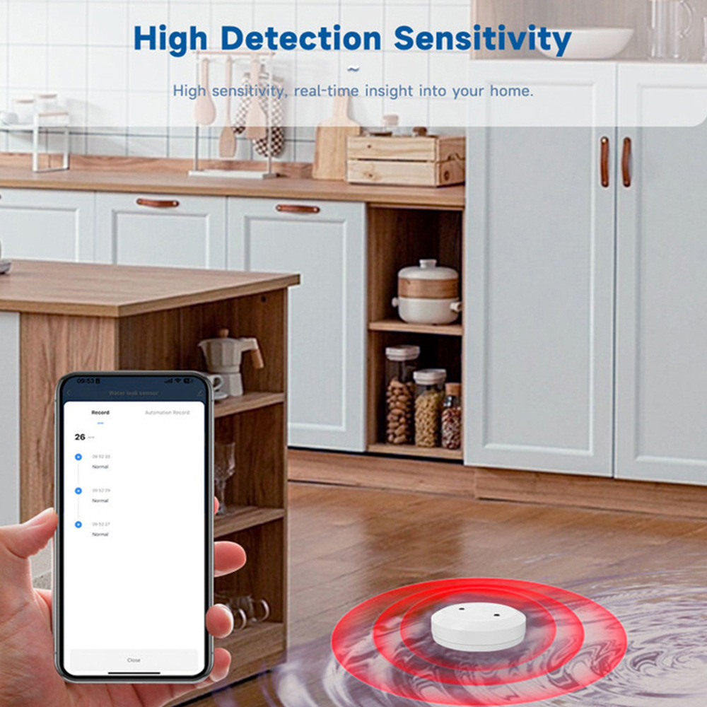 smart home water leak detection system (2)