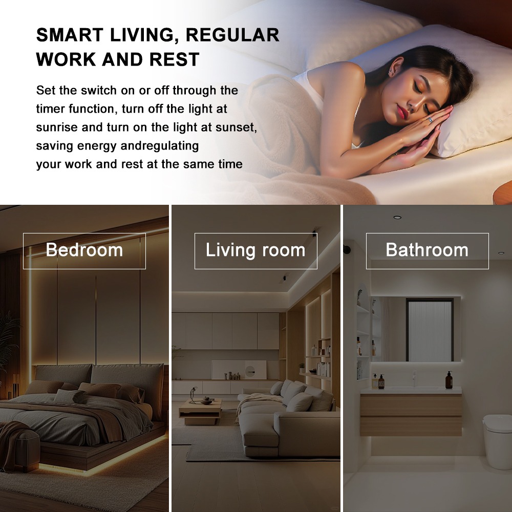dimmer smart light switch (2)