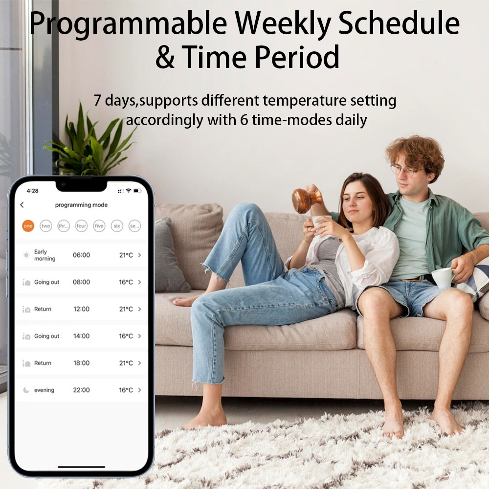 irrigation smart controller (1)