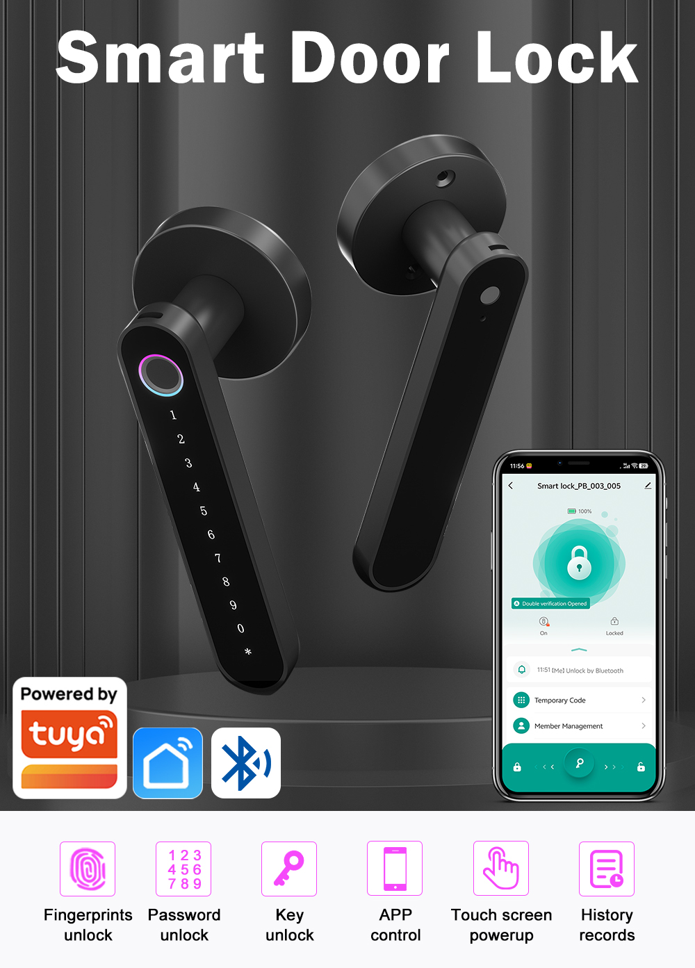 smart door lock home assistant (1)