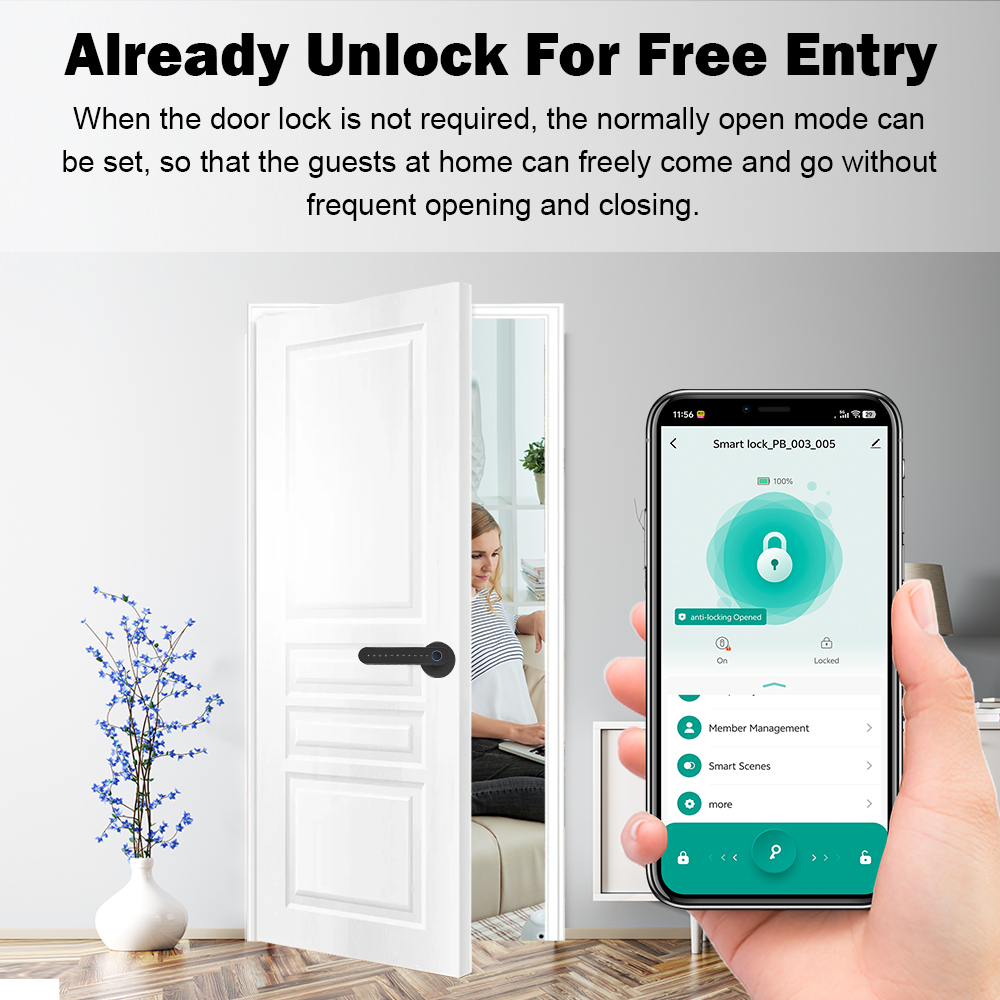 smart door lock with keypad (1)