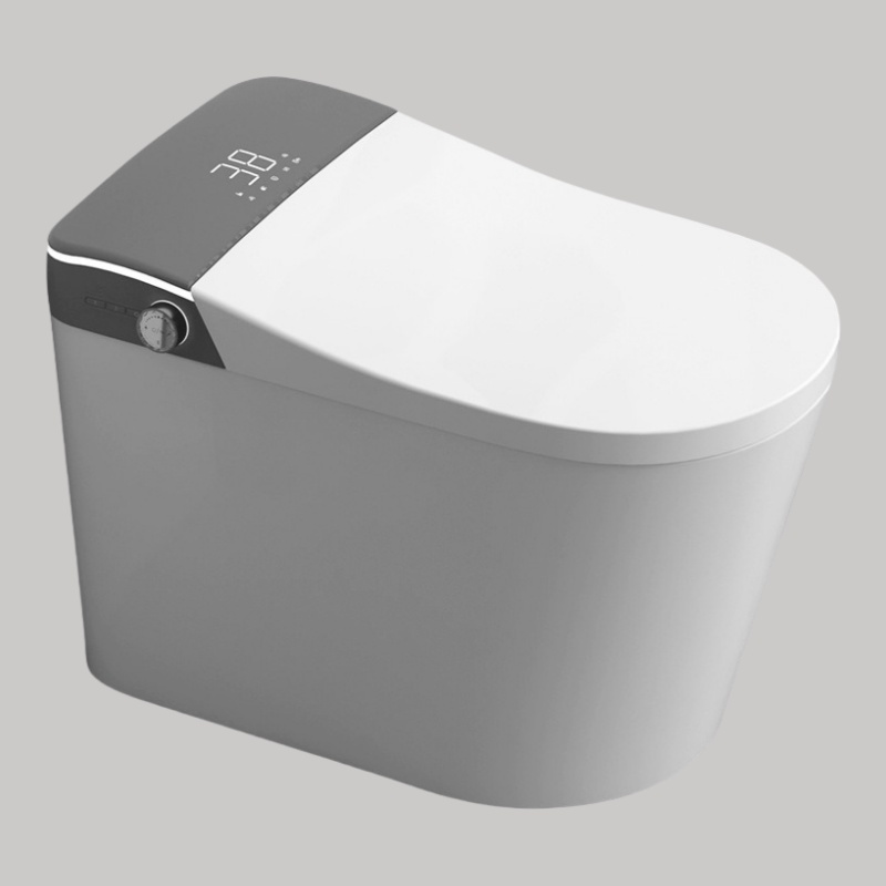 Modern Floor-standing LED Display Intelligent Smart Toilet 