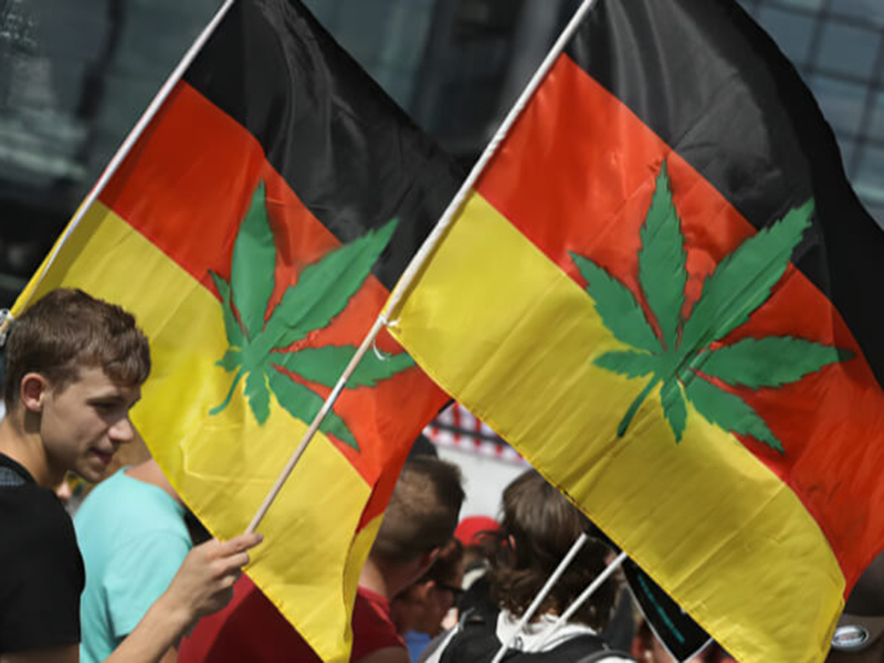Germany Legalizes Recreational Marijuana Possession and Home Cultivation