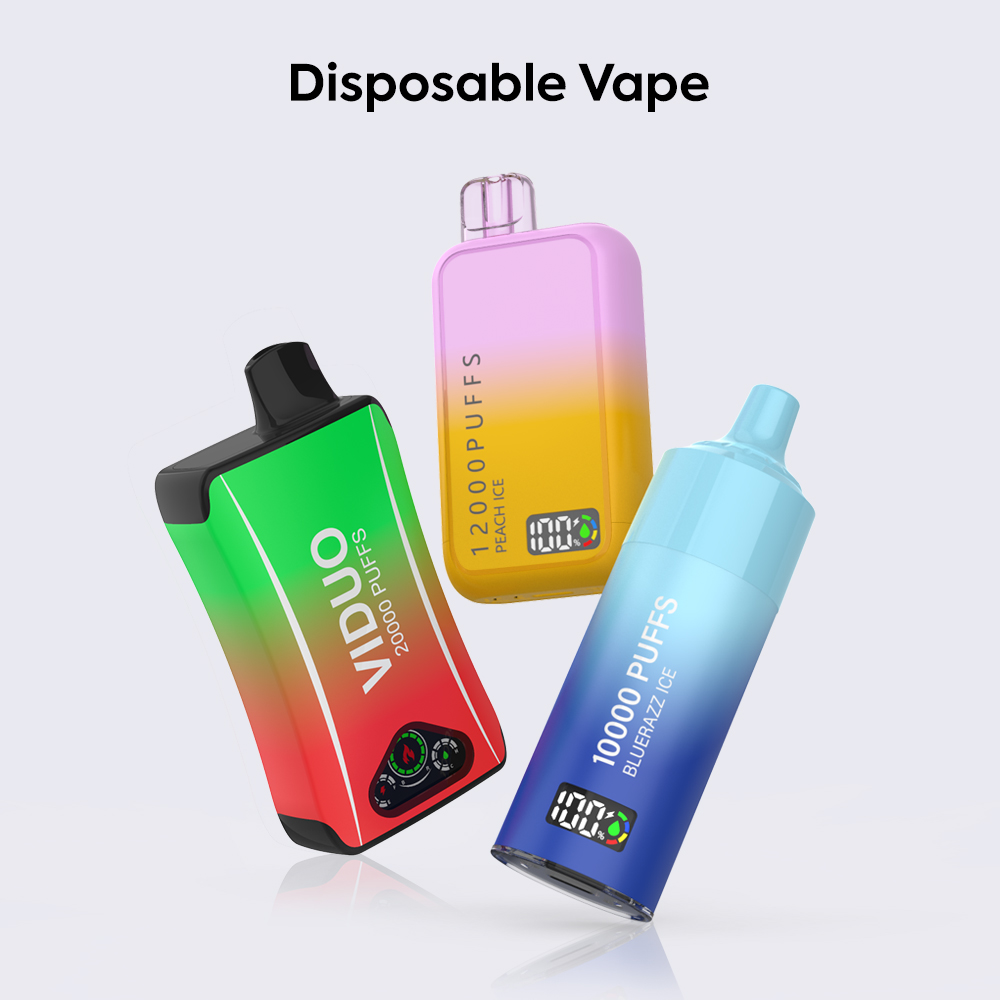 DISPOSABLE-VAPE25o
