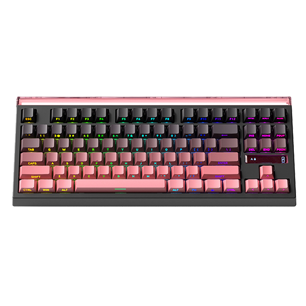 pro1