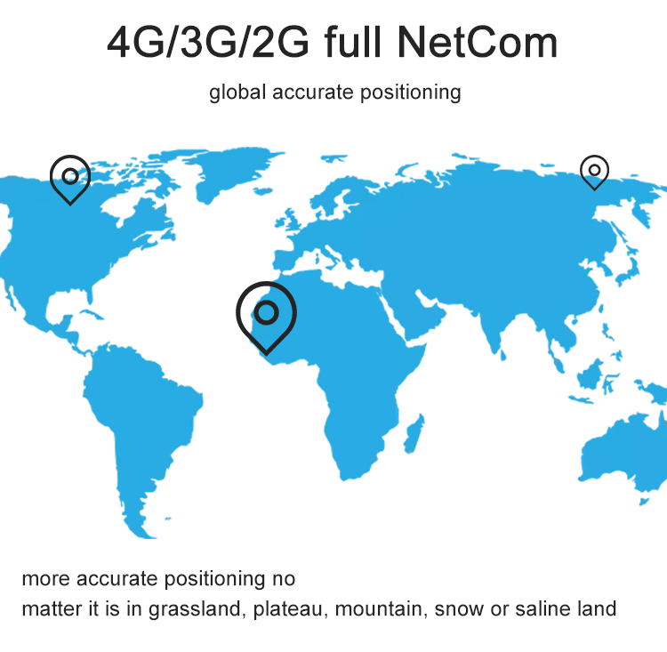 3.gif