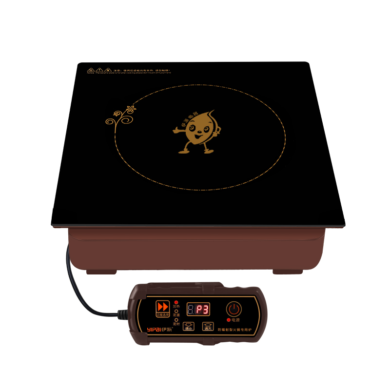 Hot Pot Induction Cooker YP-X300
