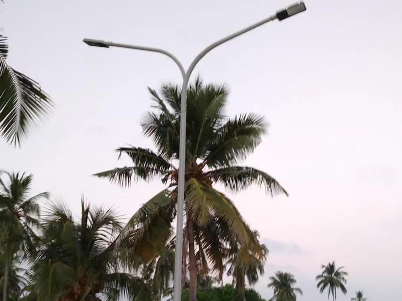 100pcs 6m 50w LED Street Light in Maldives