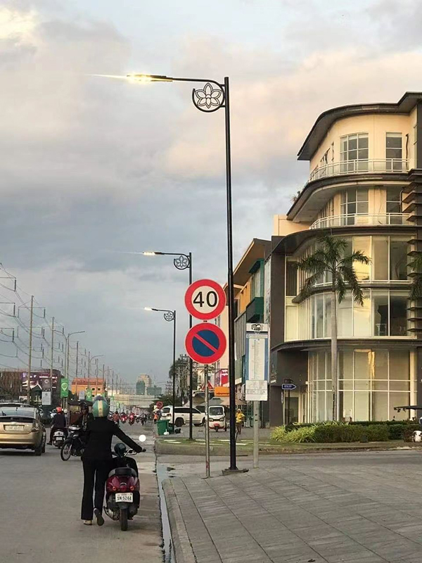 270 postes de luz decorativos estampados de 9 metros com luzes LED em formato de cobra de 150 W no Camboja.jpg