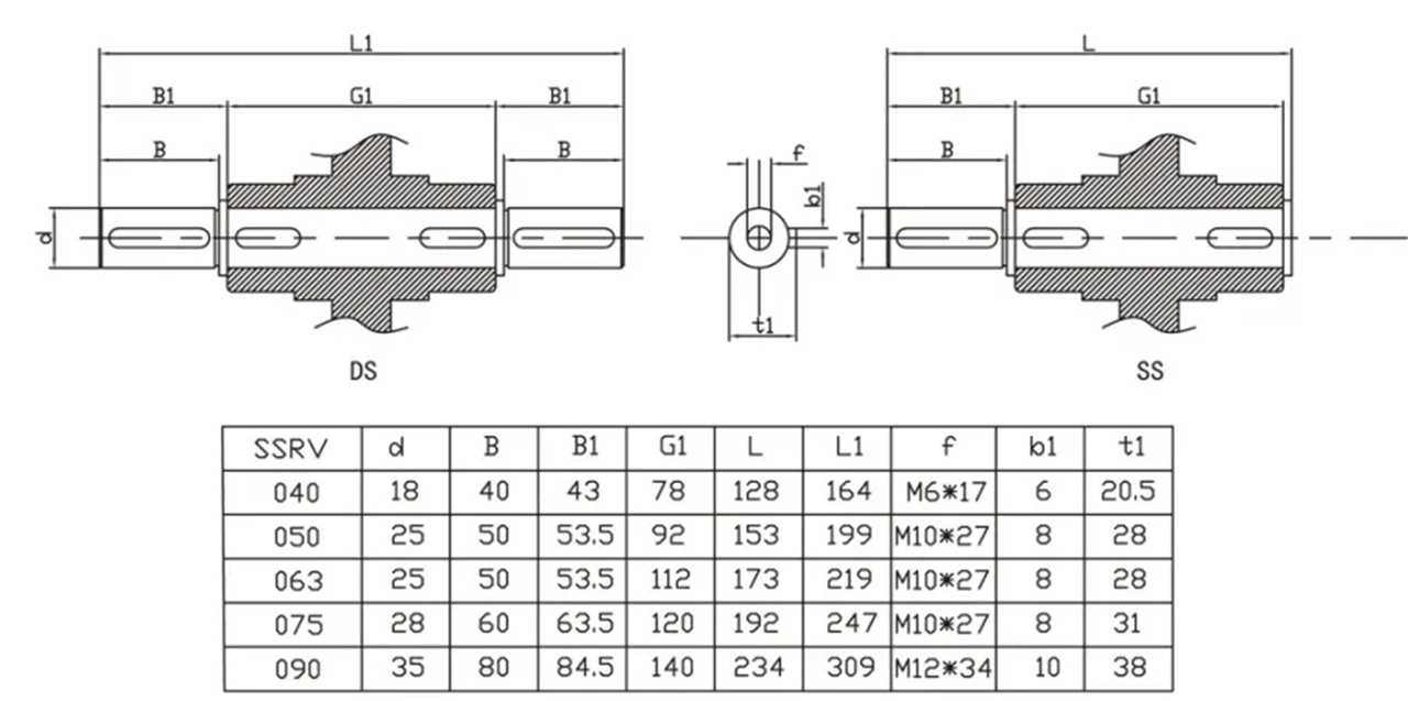 SSRV Series Stainless Steel Worm Gearbox Reducer (3)