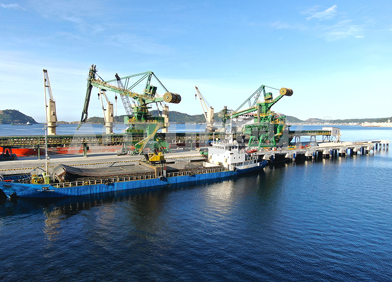 Maliwalis Philippines Ship Unloader + Bulk loader - ATXL600B (4).jpg