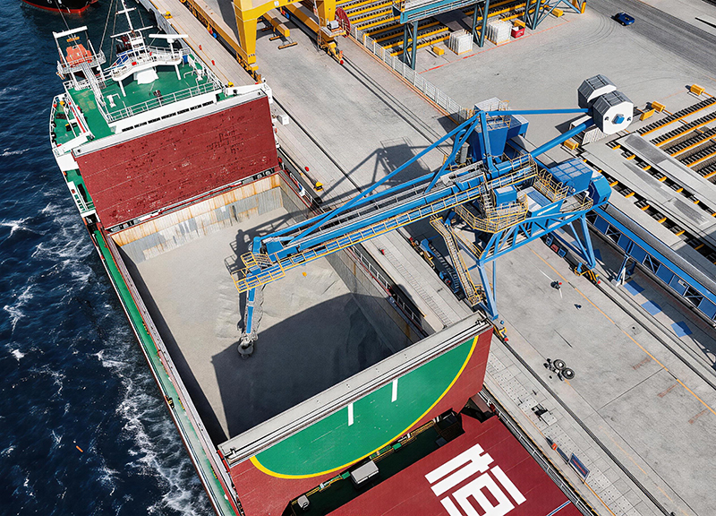 A certain port in Dalian - Track-mounted continuous environmental-friendly screw ship unloader