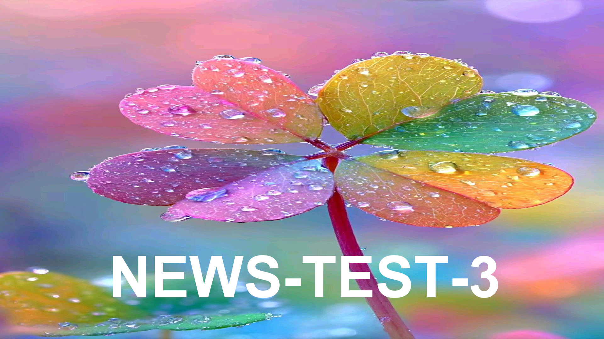 (1920x1080)-news-test-3