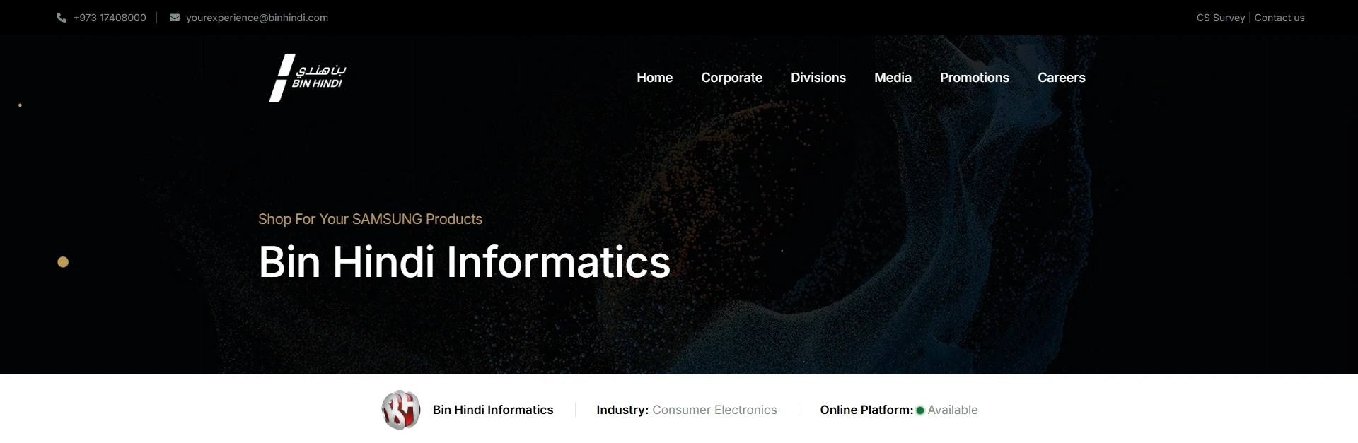 13-bin-hindi-informatics