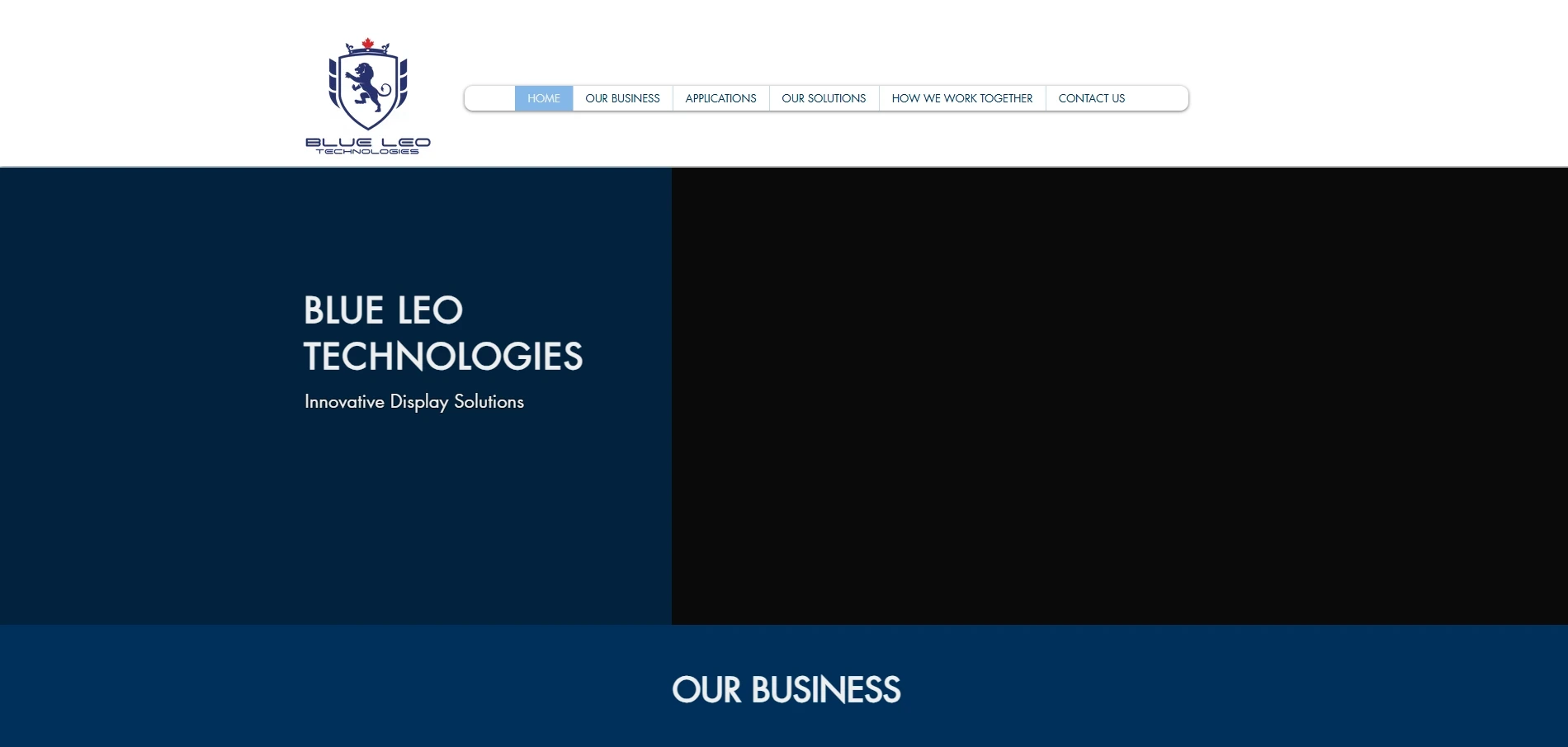 14-blue-leo-technologies