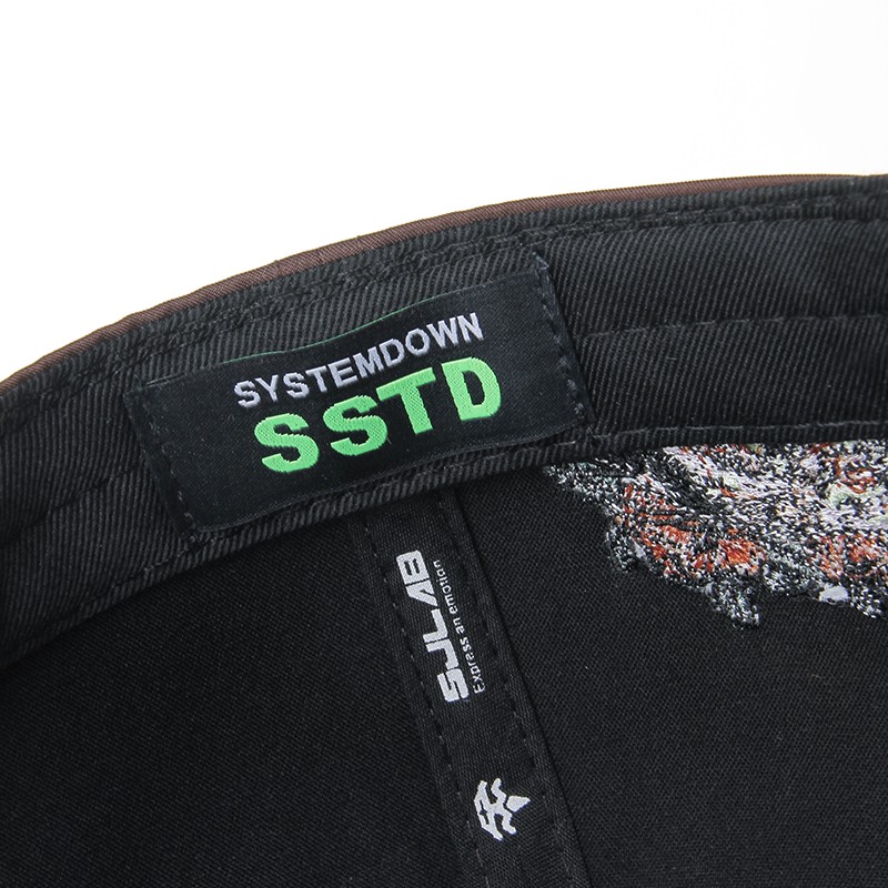 SJLAB × SSTD Collaborative Baseball Cap (16).jpg