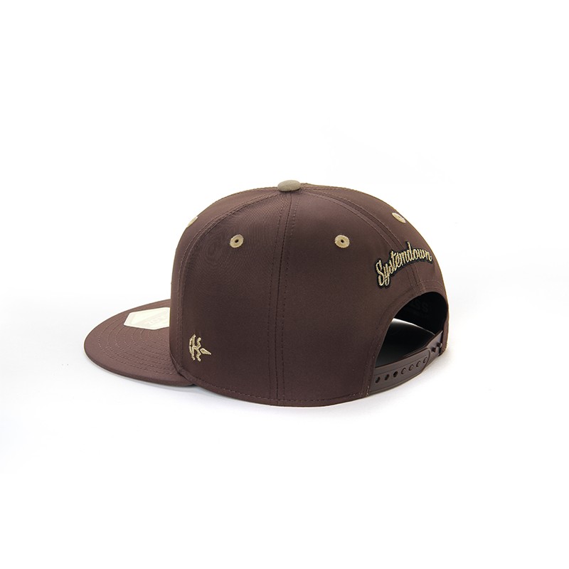 SJLAB × SSTD Collaborative Baseball Cap (8).jpg